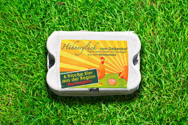 6er Packung Freilandeier
